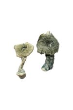 ken carson mdma​