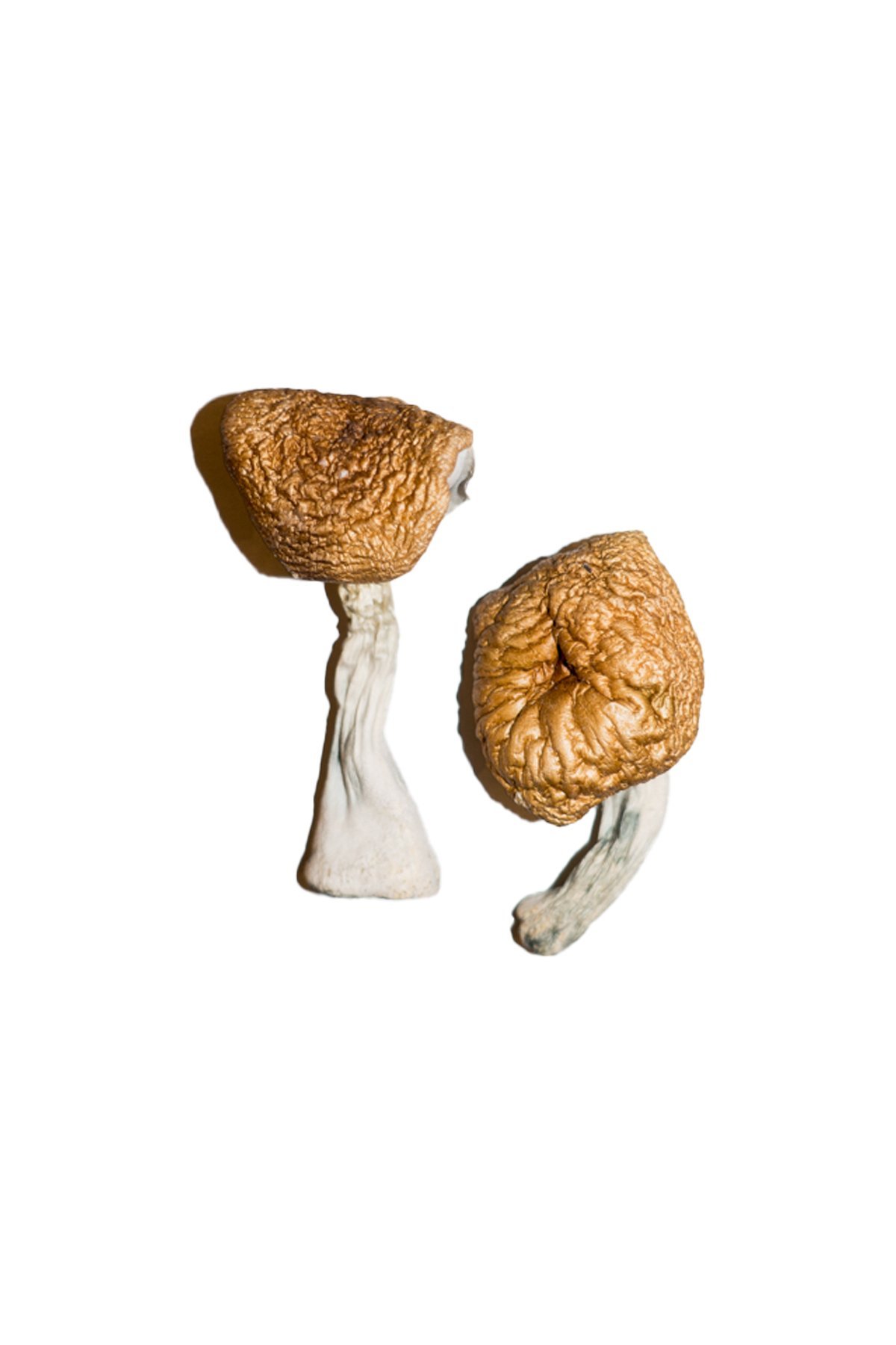 where can i get mdma-assisted therapy