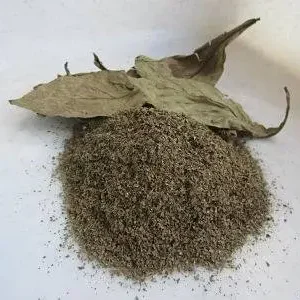 buy psychotria viridis (chacruna) leaves