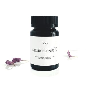 magic mushrooms buy​