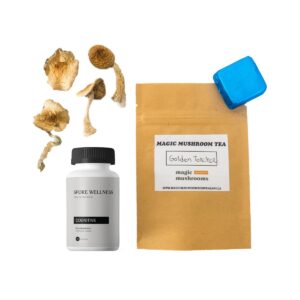 First Timer Magic Mushroom Kit