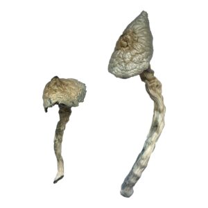 buy acid online​