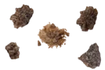 buy raw mdma (molly) canada
