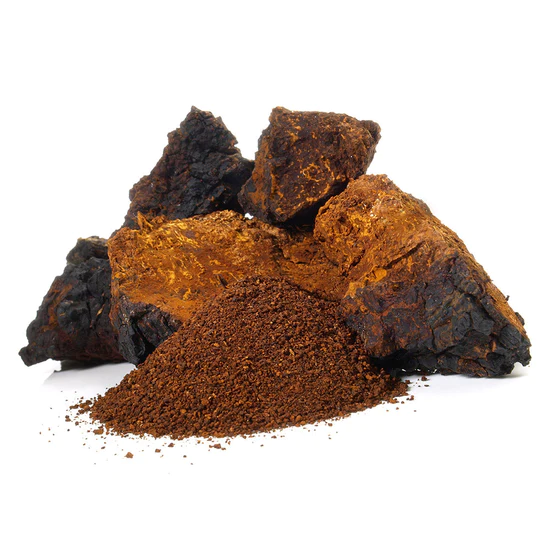 stay wyld organics – chaga mushroom capsules (bottle of 90)