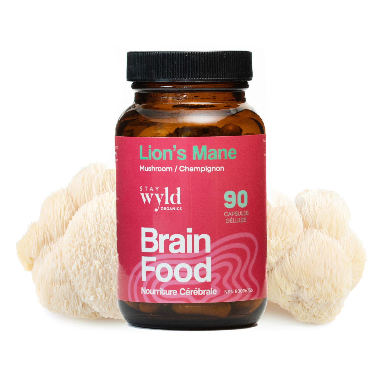 stay wyld organics – lion’s mane mushroom capsules (bottle of 90)
