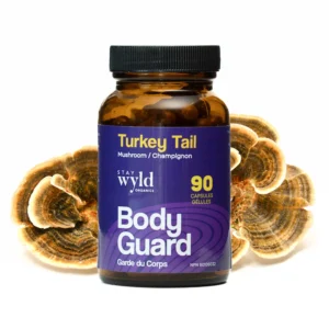 stay wyld organics – turkey tail mushroom capsules (bottle of 90)