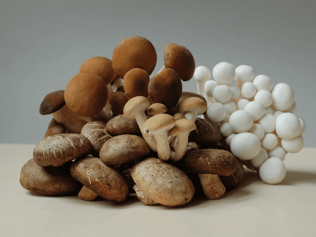 The Ultimate Guide to Magic Mushrooms in UK